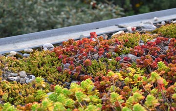 the cost of Jumpers Town green roof installation